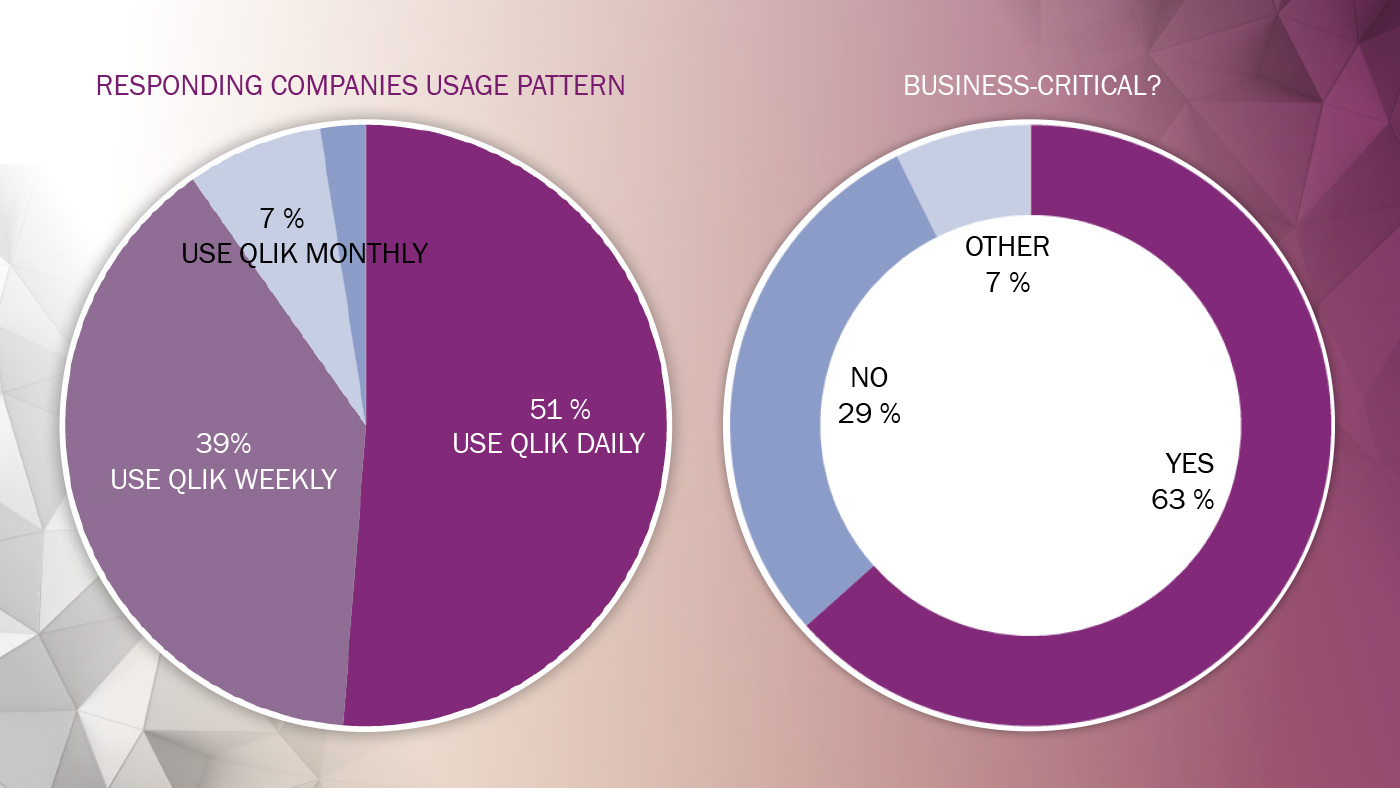 Climber Qlik's usage survey business critical